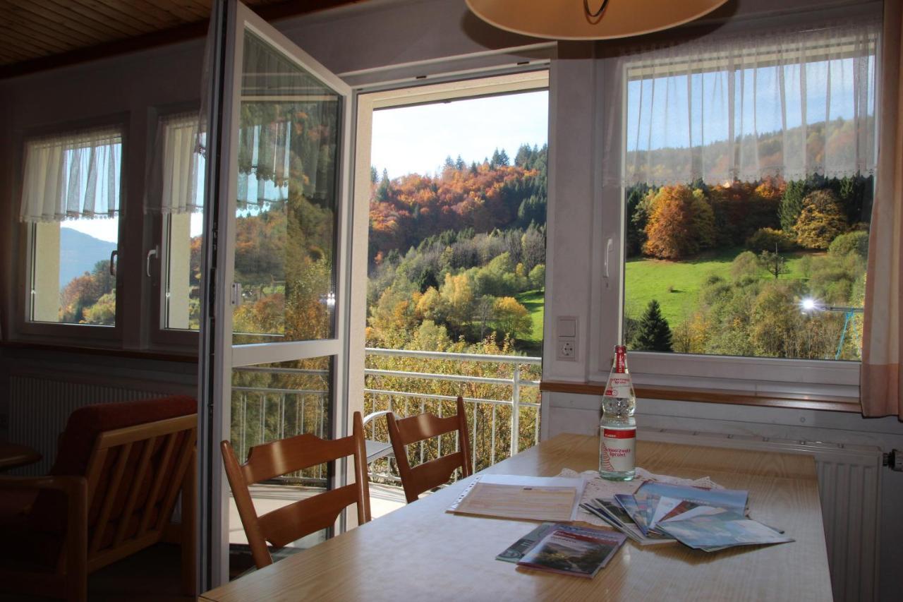 Steiert Panorama Apartments Todtnau Exterior foto